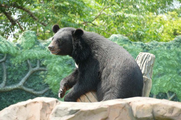 Révolutionnez votre habitat avec le blog maison et travaux