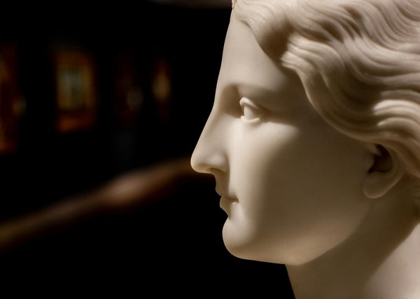 Bprorenov : solutions de rénovation à montauban pour votre maison