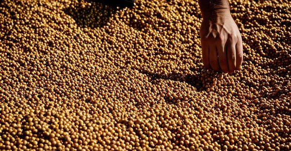 Moisson : les tendances essentielles à surveiller cette année